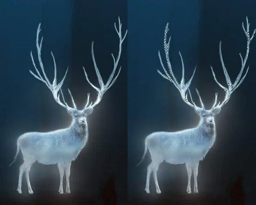 آموزش طراحی گوزن درخشان در فتوشاپ